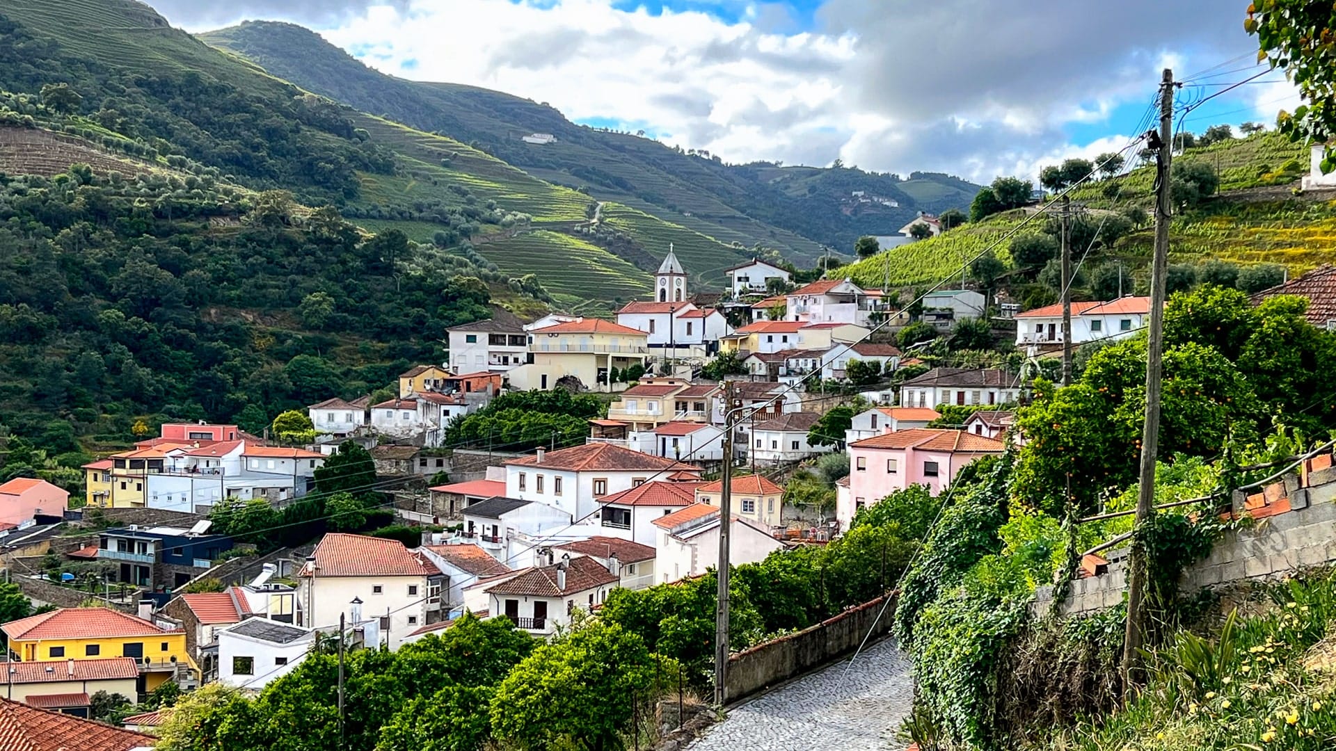 Covelinhas Douro Valley
