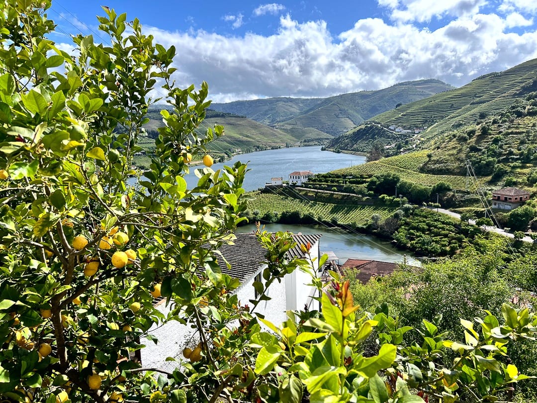 Covelinhas vista Douro