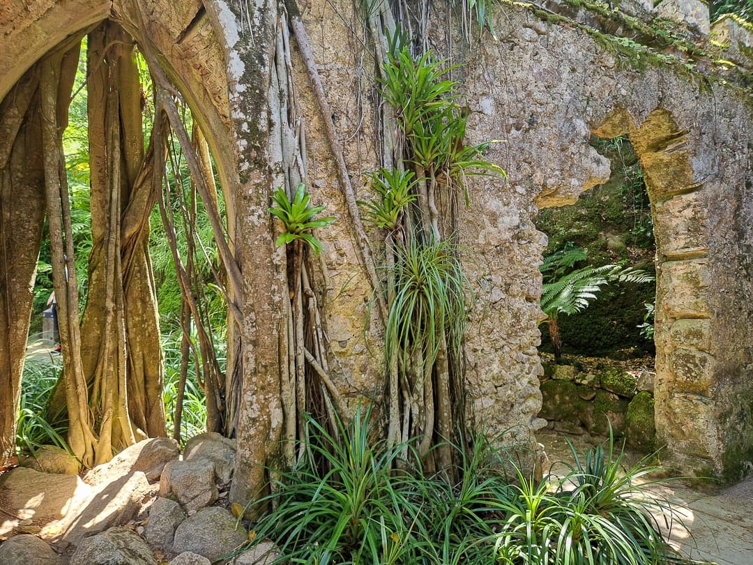 Palácio de Monserrate Sintra romantic ruin