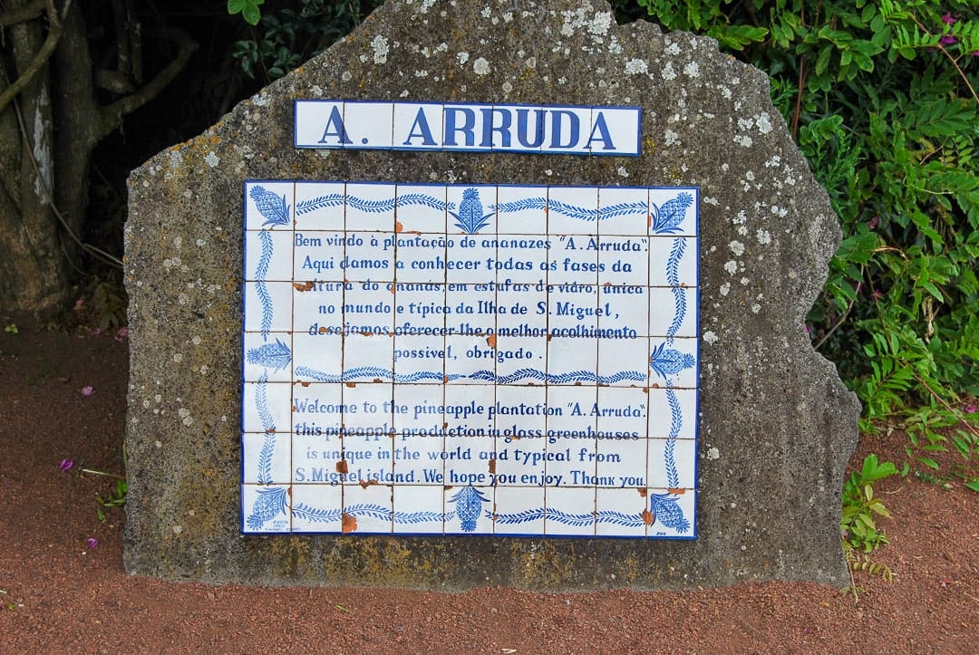 Augusto Arruda pineapple plantation