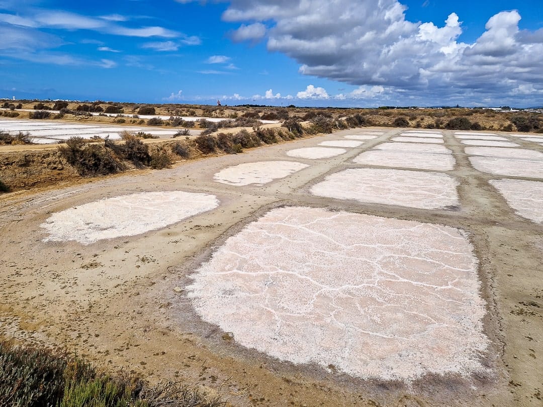 Ria Formosa Faro salt pans