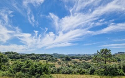 Close to nature in the Tapada Nacional de Mafra
